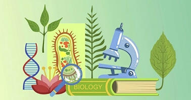 СРС:Медична біологія для спец. медицина MBIO_N_COO1_2024
