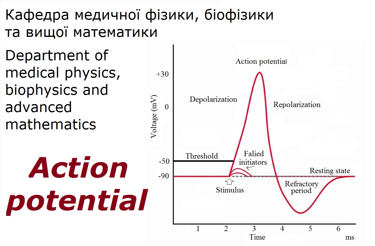 Action potentials DMPBHM_M1_C002