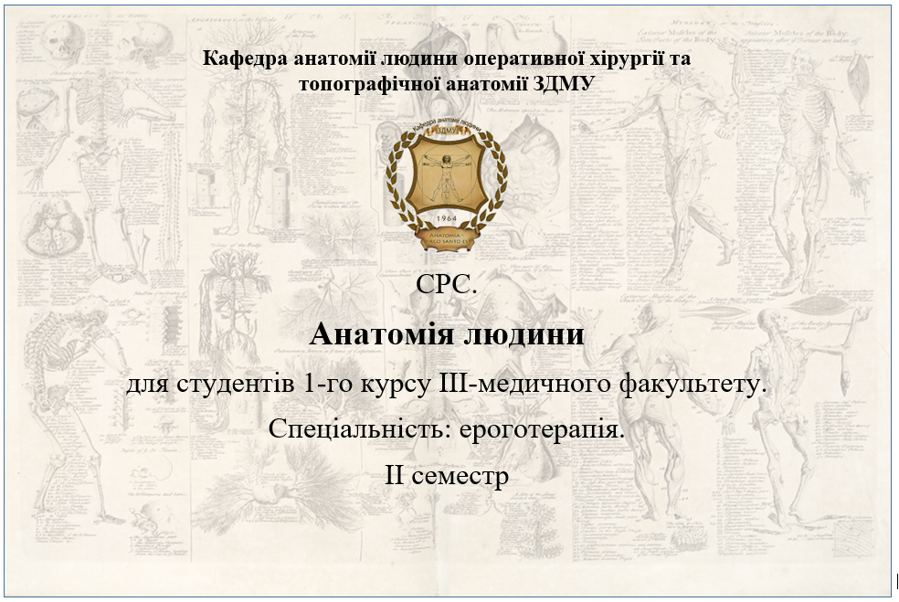 СРС. Анатомія людини для студентів 1-го курсу ІІІ-медичного факультету спеціальність: Ероготерапія. ІІ семестр HAE_108