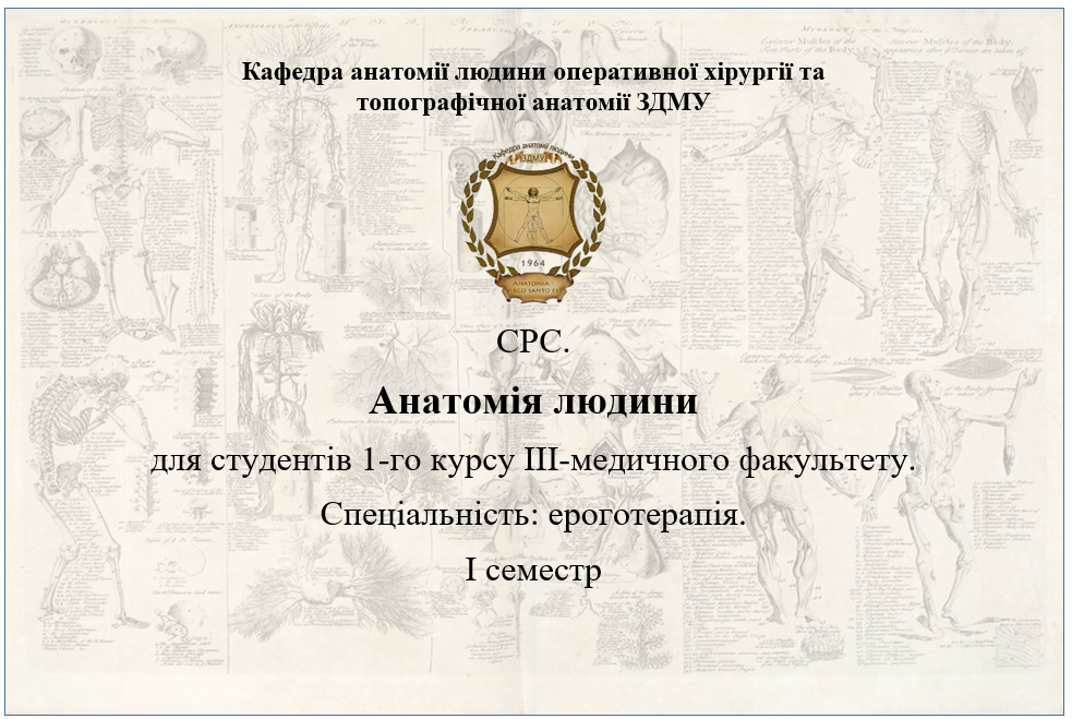СРС. Анатомія людини для студентів 1-го курсу ІІІ-медичного факультету спеціальність: ероготерапія. І семестр HAE_109