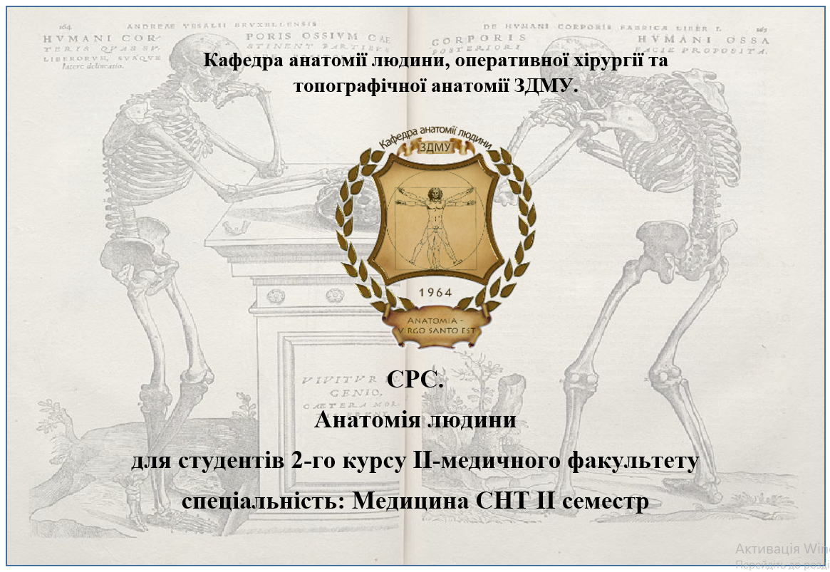 СРС. Анатомія людини для студентів 2-го курсу ІІ-медичного факультету спеціальність: Медицина СНТ ІІ семестр HAM_110