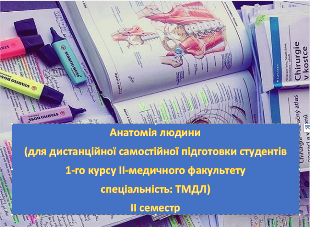 СРС. Анатомія людини для студентів 1-го курсу ІІ-медичного факультету спеціальність: ТМДЛ. ІІ семестр HAl_106