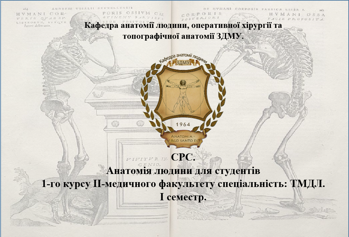 СРС. Анатомія людини для студентів 1-го курсу ІІ-медичного факультету спеціальність: ТМДЛ. І семестр HAl_107