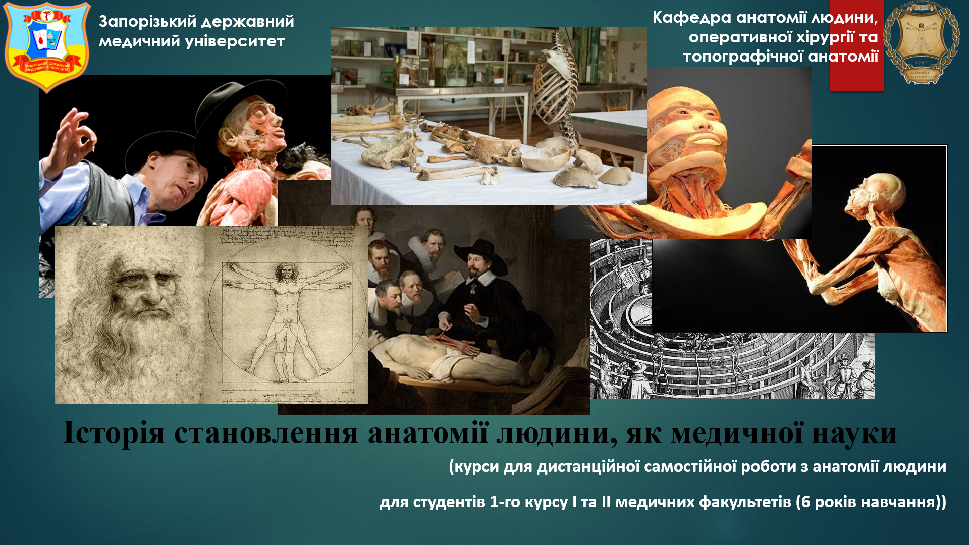 Історія становлення анатомії людини, як медичной науки HAnat_OSTA_21