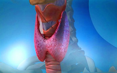 Diseases of the  thyroid and parathyroid glands in children HP_IN5_C25