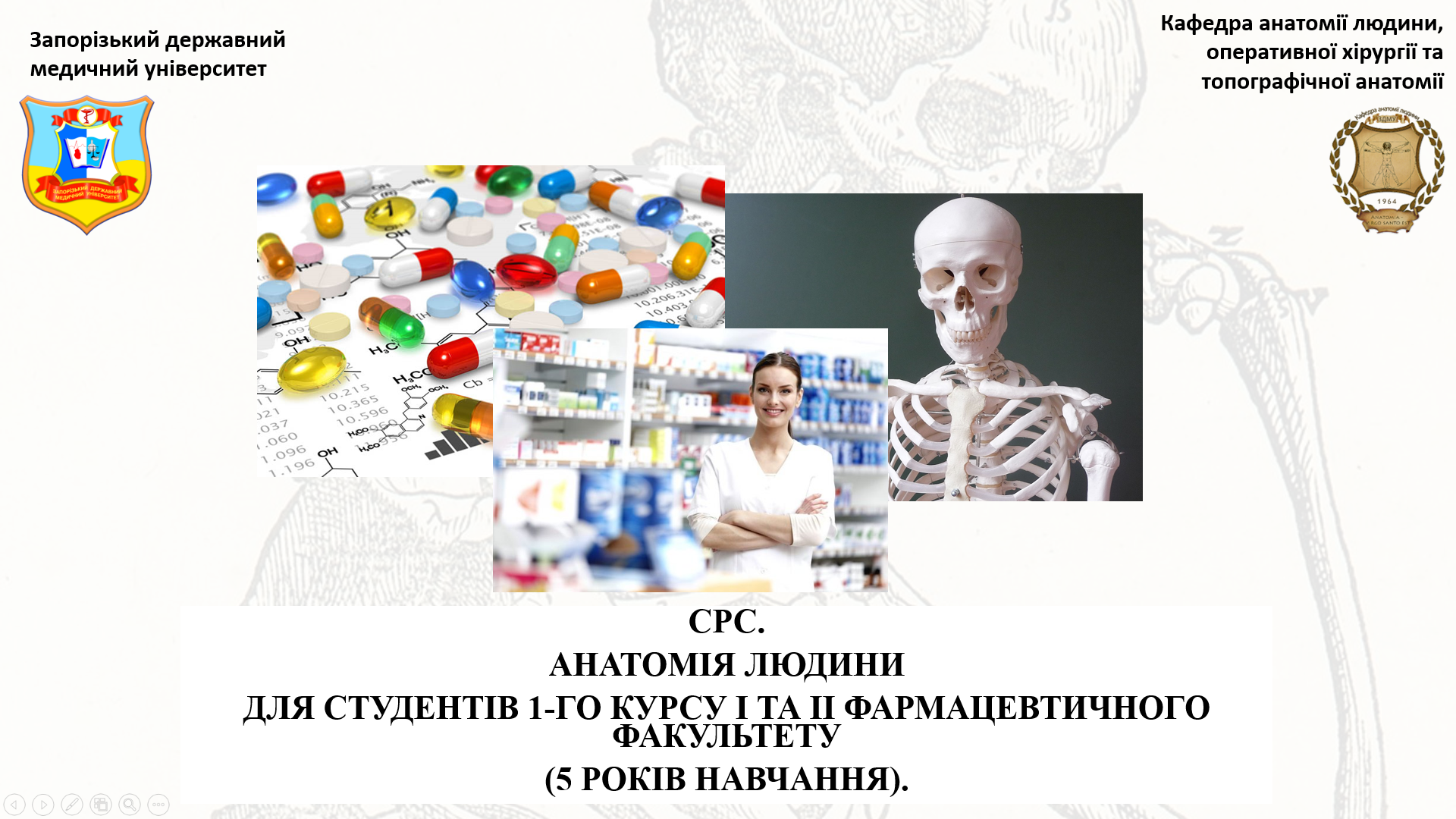 СРС. Анатомія людини для студентів 1-го курсу I та II фармацевтичного факультету (5 років навчання). HA_102