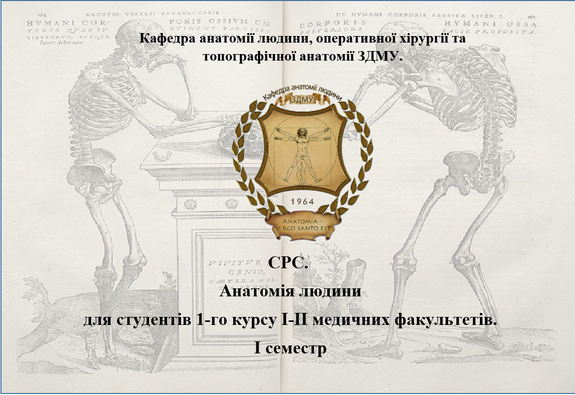 СРС. Анатомія людини для студентів 1-го курсу І-ІІ медичних факультетів І семестр HA_103